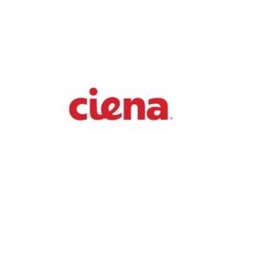 Ciena CN 5150 100-280V DC Power Supply 170-0107-900